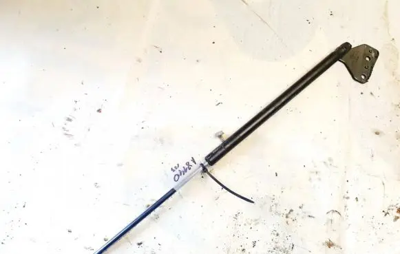 Ford Focus C-MAX Tailgate/trunk strut/damper