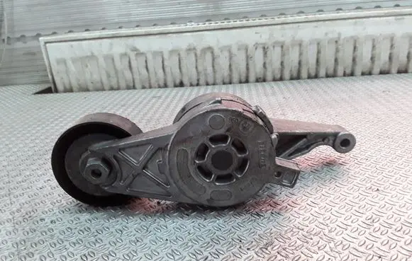 Seat Toledo III (5P) Generator/alternator belt tensioner