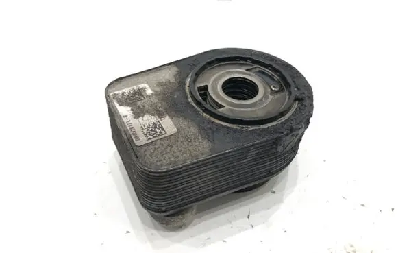 Renault Megane IV Engine oil radiator 213059324R