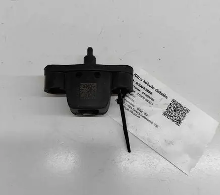 BMW X2 U10 Loading door check strap stopper 5A2E8B7