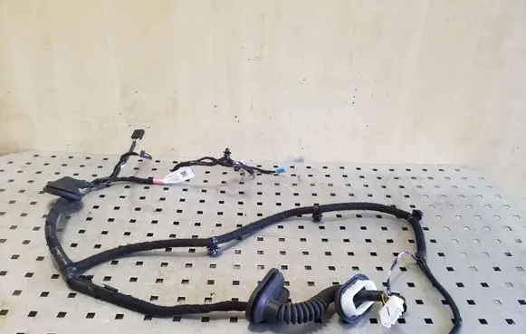 Tesla Model 3 Rear door wiring loom 206796500B