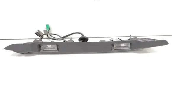 Trunk door license plate light bar