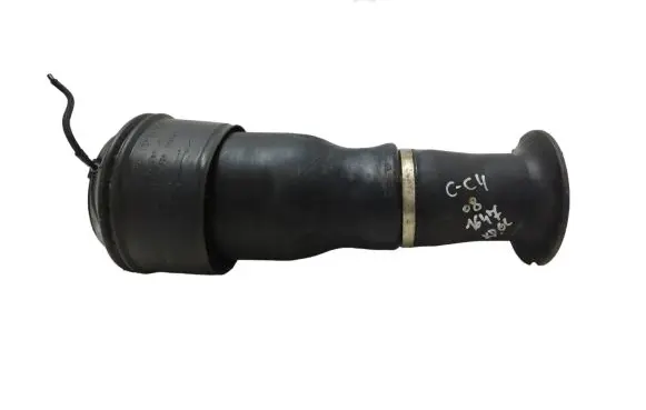 Citroen C4 I Picasso Rear air suspension bag/shock absorber 9676670180 R307512403