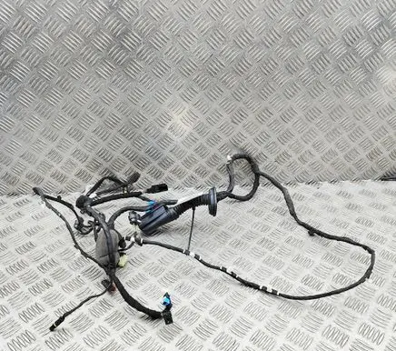 BMW X7 G07 Front door wiring loom 5A47901