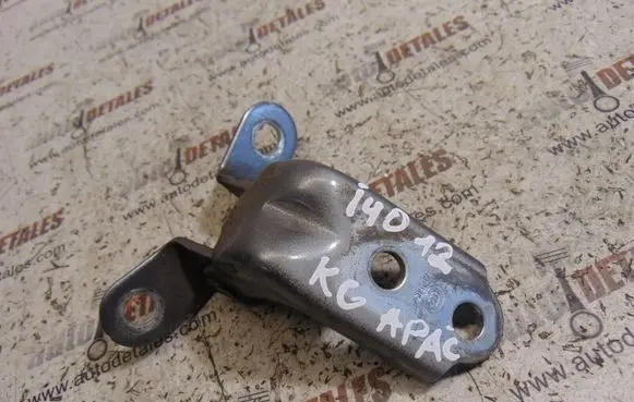 Rear door lower hinge