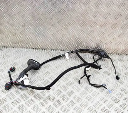 Tesla Model 3 Rear door wiring loom 206796590A