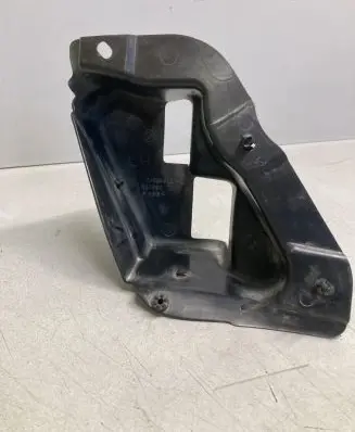 Rear/tail light trim molding