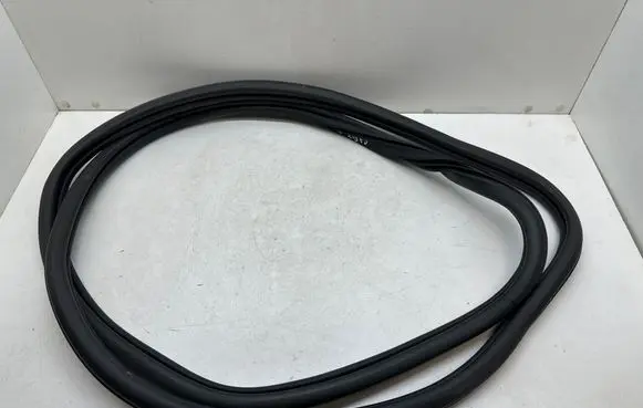 Volkswagen Caddy Front door rubber seal 