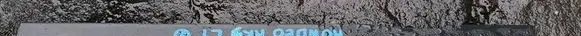 Ford Mondeo MK V Front sill trim cover DS73F13201FBW