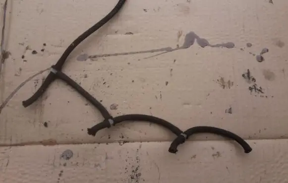 Ford Focus Fuel return line/hose 