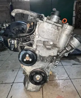 Skoda Octavia Mk2 (1Z) Engine