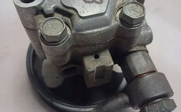 KIA Carnival Power steering pump