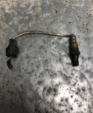 Nissan Qashqai+2 Lambda probe sensor 0ZA603-N8