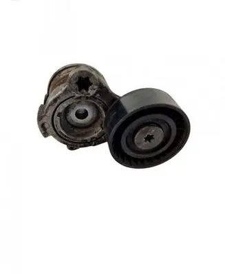 Chevrolet Captiva Alternator belt tensioner 556587