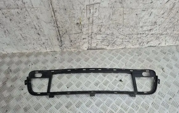 BMW X5 E70 Front bumper lower grill 7171348