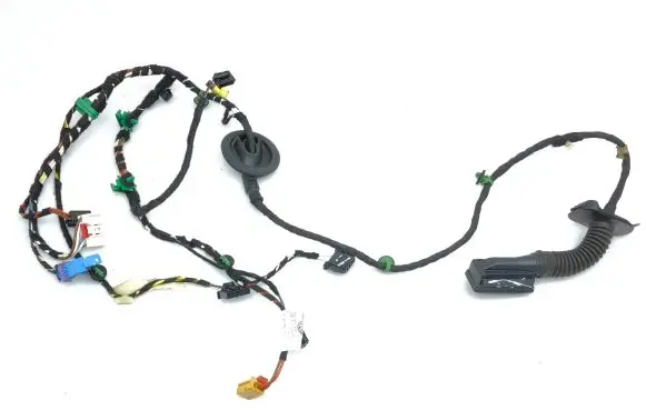 Volkswagen T-Roc Front door wiring loom 2GB971120AJ