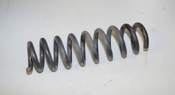 Rear coil spring