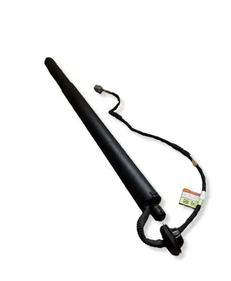 Ford Kuga III Tailgate strut LV4BS402A54 225422