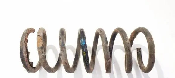 Ford S-MAX Rear coil spring