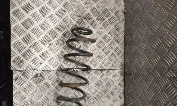 Volkswagen PASSAT B6 Rear coil spring