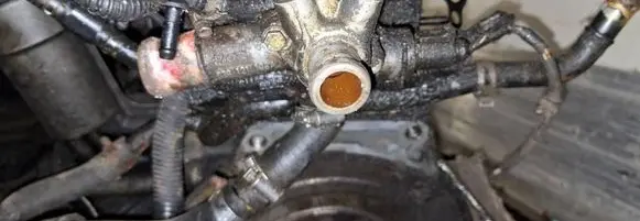 Volkswagen Bora Engine coolant pipe/hose 038121133a