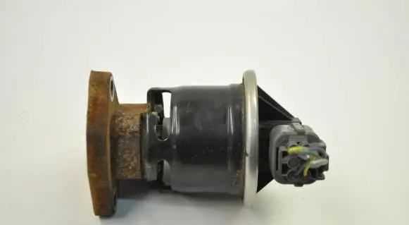 EGR valve