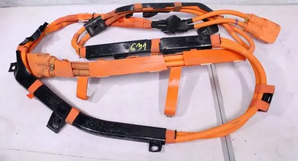 BMW 5 G30 G31 G38 Other wiring loom 7619781 10024822 10024728