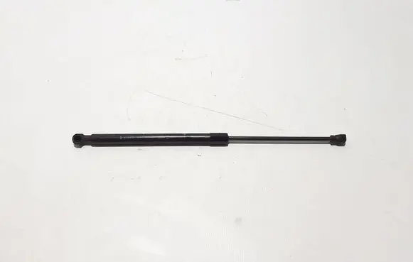 Renault Kangoo III Front bonnet/hood damper/strut 654719908R
