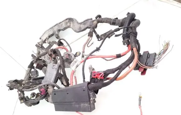 Engine installation wiring loom