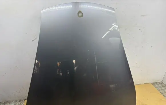 Engine bonnet/hood