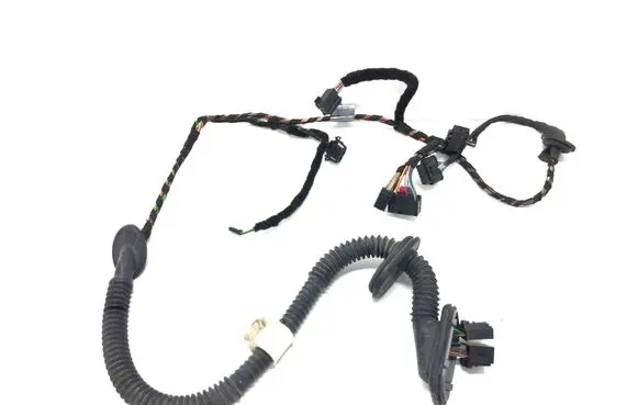 Rear door wiring loom
