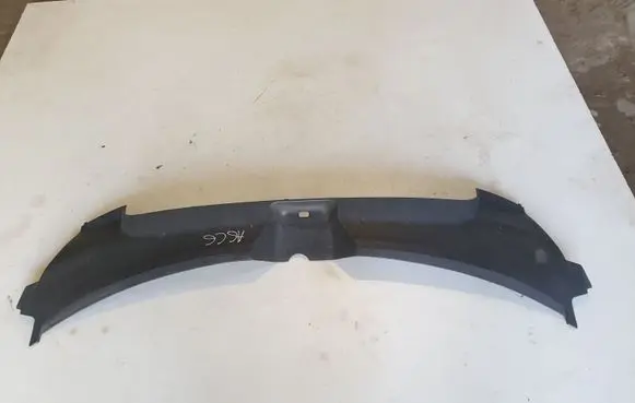 Radiator trim