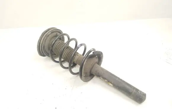 Peugeot 206 Front shock absorber with coil spring