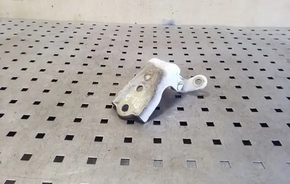 Chevrolet Captiva Front door lower hinge 
