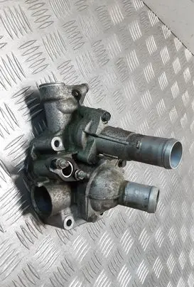 Thermostat/thermostat housing