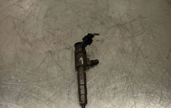 Ford B-MAX Fuel injector 0445110489