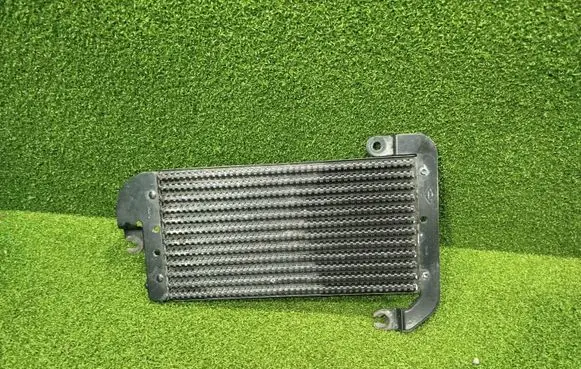 Renault Trafic III (X82) Fuel cooler (radiator) 175104049R