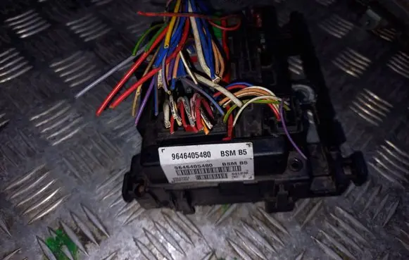 Peugeot 307 BSM Control unit 9646405480