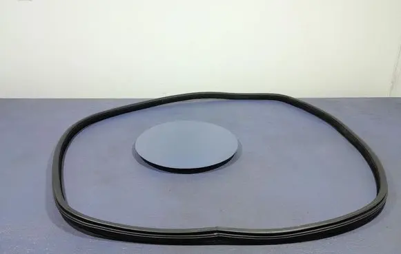 BMW X6 M Front door rubber seal 7317823