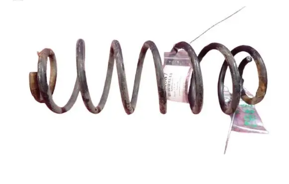 Rear coil spring