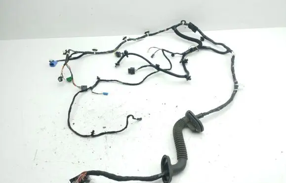 Tesla Model 3 Front door wiring loom 306795702C