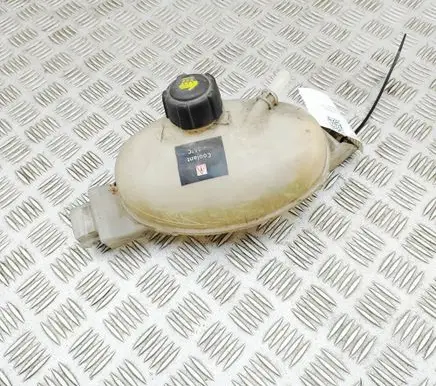 Renault Master III Coolant expansion tank/reservoir 217100015R