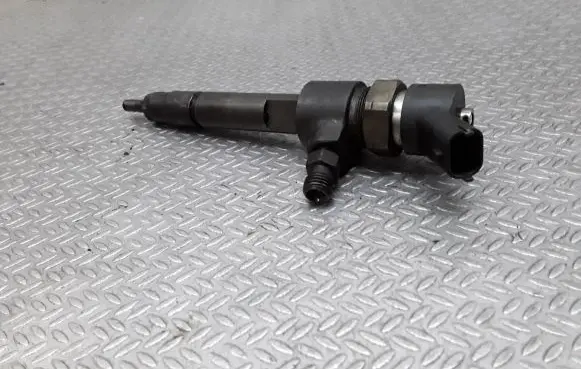 Fiat Stilo Fuel injector 0445110119