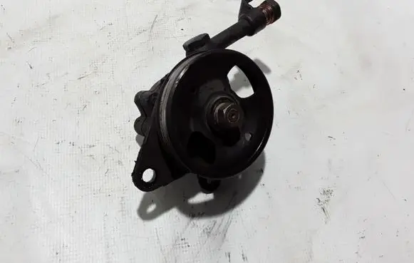 Nissan Pathfinder R51 Power steering pump 491103X01A