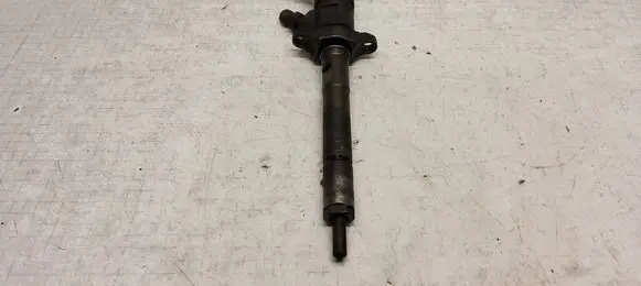 Citroen C5 Fuel injector 0445110297 620026