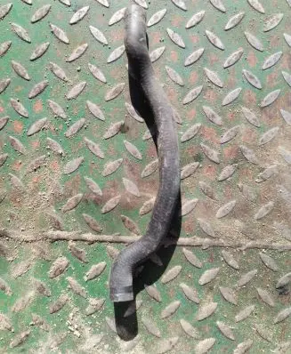 BMW X5 E53 Engine coolant pipe/hose 8409063