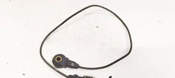 Opel Sintra Detonation knock sensor 0261231079