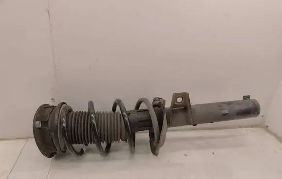 Volkswagen Tiguan Front shock absorber with coil spring 5QF412021PM