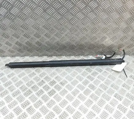 Ford Mustang Mach-E Tailgate/trunk strut/damper LJ8BR402A55AD