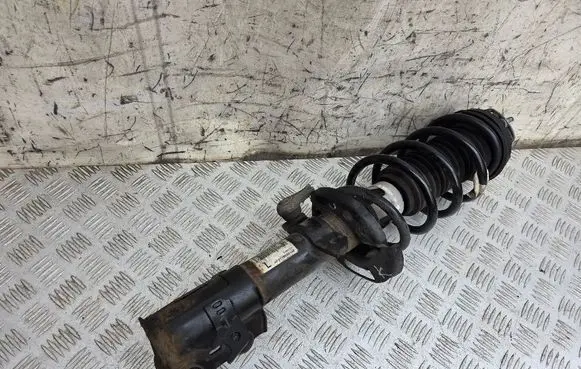 Ford B-MAX Front shock absorber with coil spring AP3118K001AF